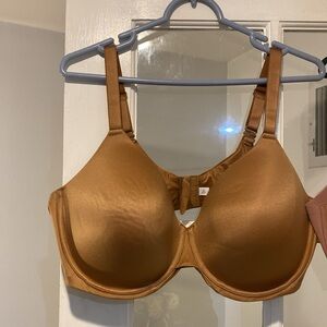 New Auden Women's Bra in Bronze